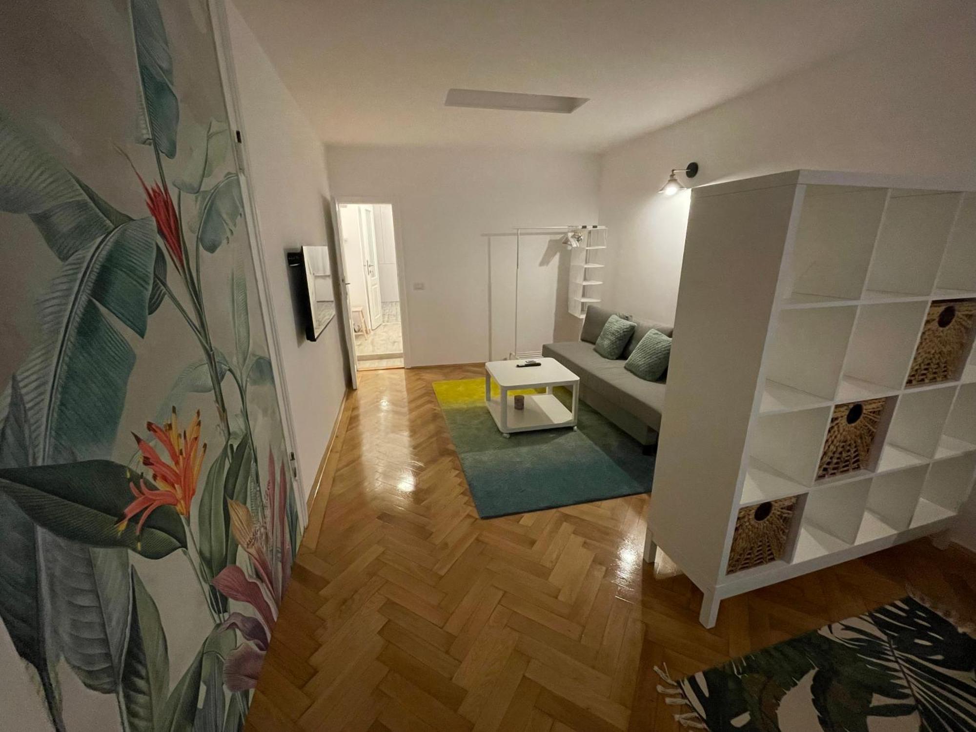 Cozy Stay Braşov Extérieur photo