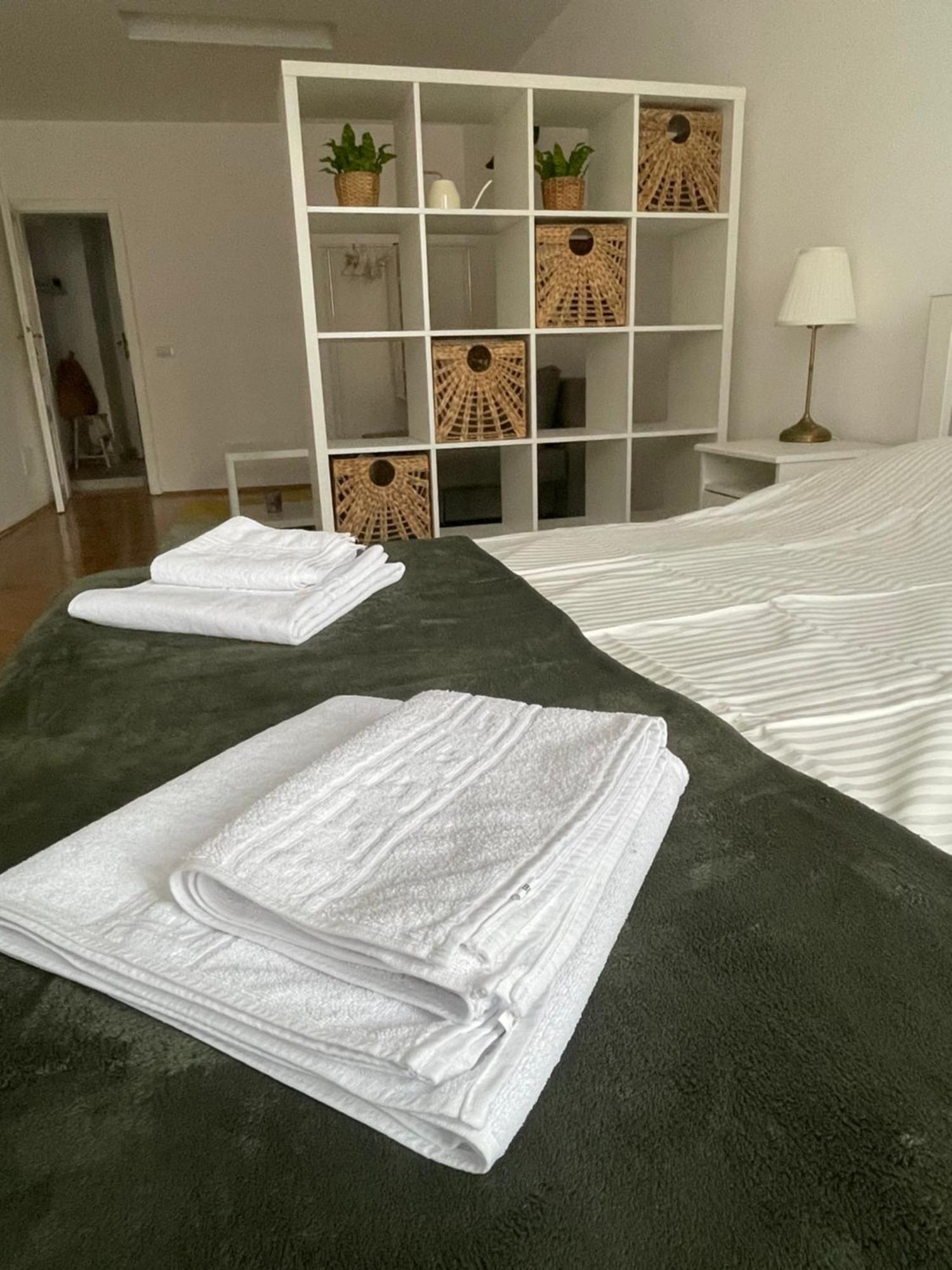 Cozy Stay Braşov Extérieur photo
